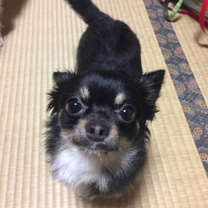 Df7b9194 fcb2 4a78 941f 2d1a429ccc79