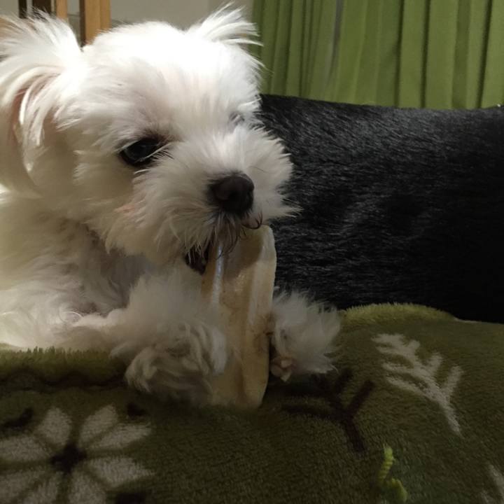 Df7b9646 8c73 48a1 85e9 1dc86797a44e