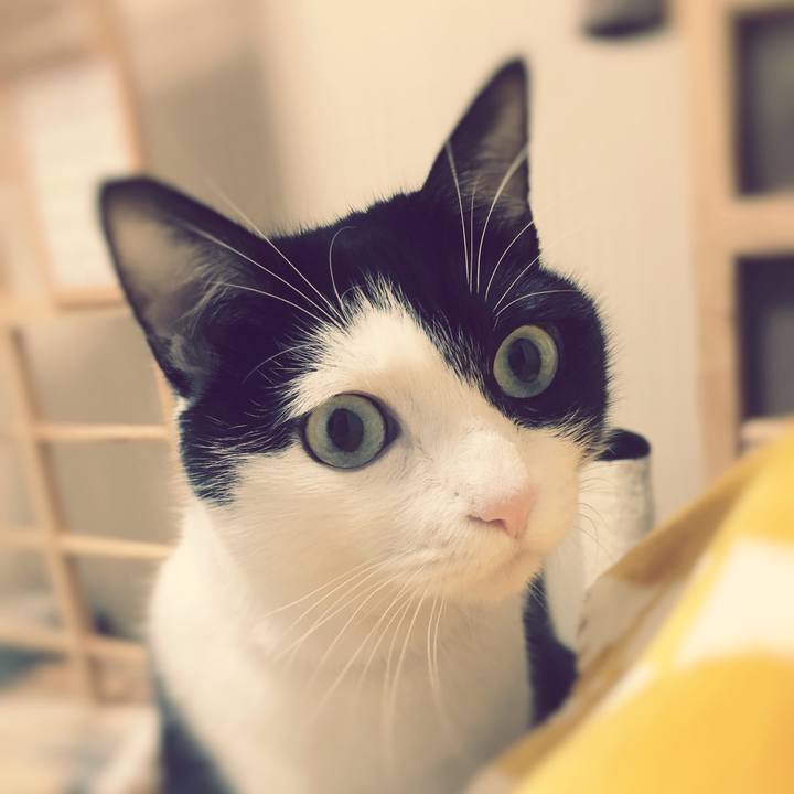 Df7bb420 3a06 458f aa55 3e3a48a3a859