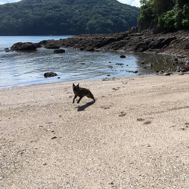 Df7bf525 e9c4 4e79 9303 07bd718c8725