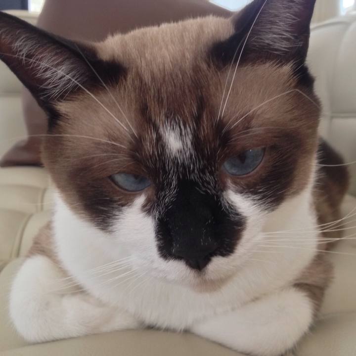 Df7c7a7e 1f15 4bf4 aab7 18553aedd08f