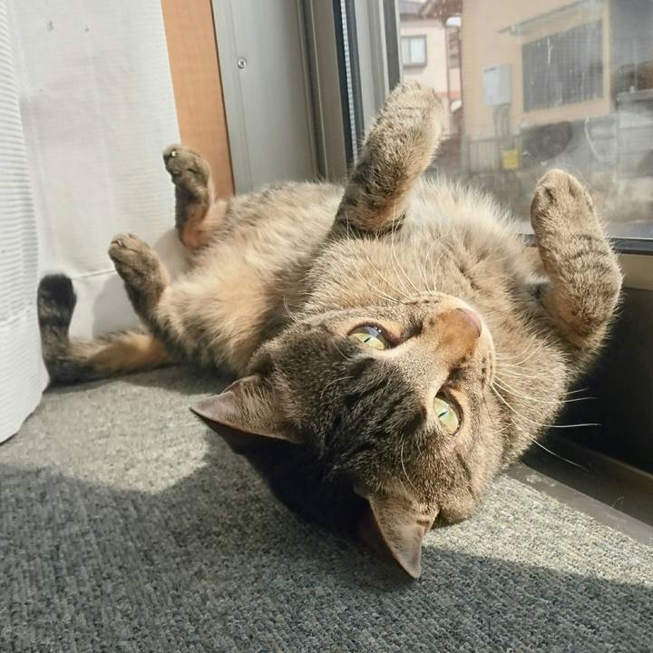 Df7d1bc8 e6ee 42a8 bb9d f9ef4787c506