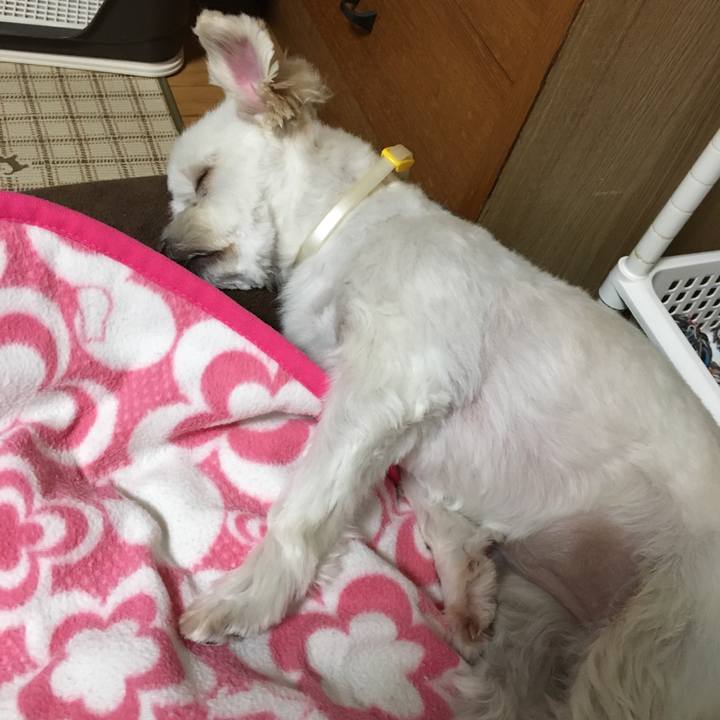 Df7e2b00 424b 48f6 b8fe 6834b8bda006