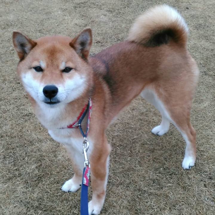 Df7e85ee 5c51 4262 9ad7 758df4aac9b7