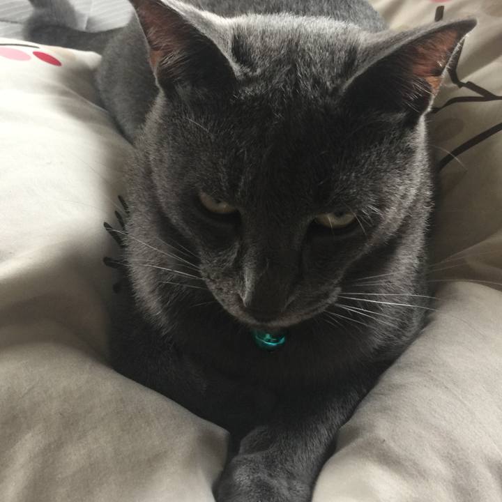 Df7f2861 c8c3 41b0 b99f 73c689f31ff5