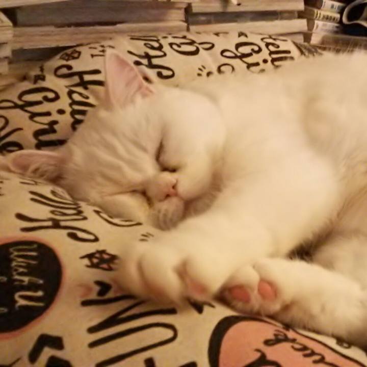 Df7f509b 7904 4c84 a9ee eef0c6d5f029