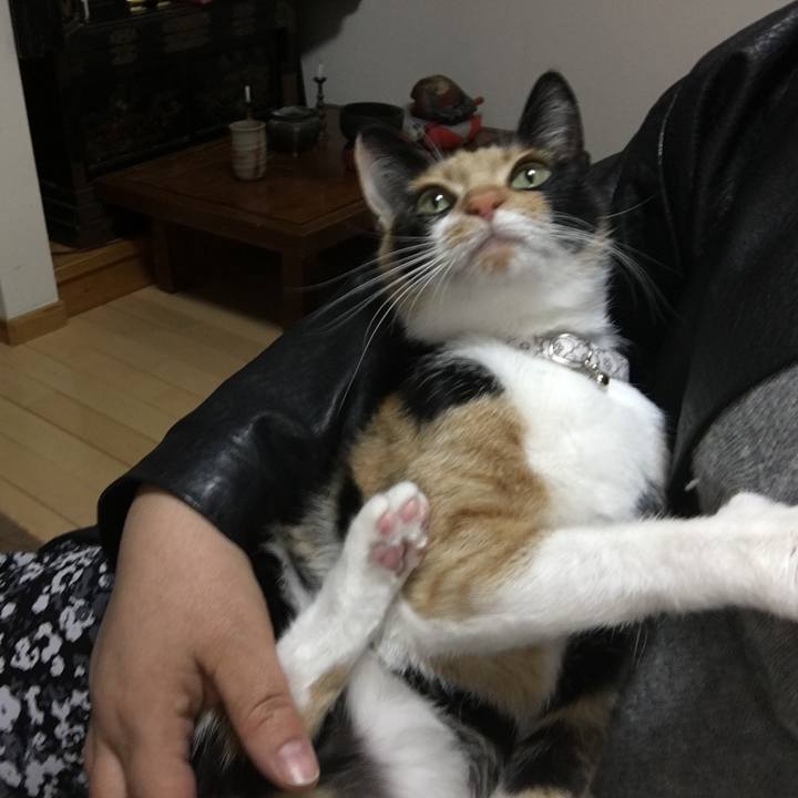 Df7fd2b5 24c1 4a75 b5d8 ec1c708f0270