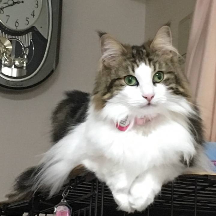 Df804528 afde 4880 9a3e 8d22555e7c06