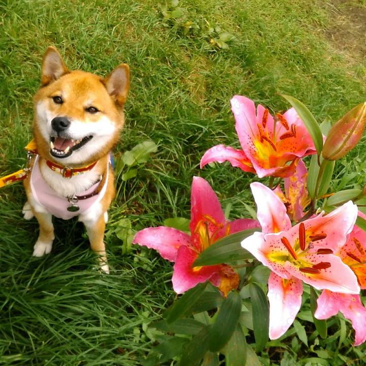 Df80beb7 eafc 4488 a815 2018744e7c78