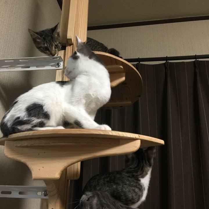 Df8161aa 9efd 4197 b83a 0cc80aebd7a6