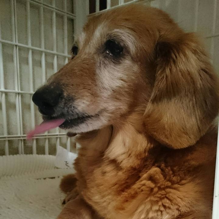 Df8172aa fe2c 43f0 bf19 c7cc661e28b3