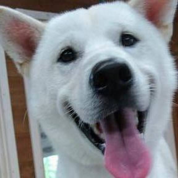 Df8179b8 0364 497c a452 d7f8195e34df