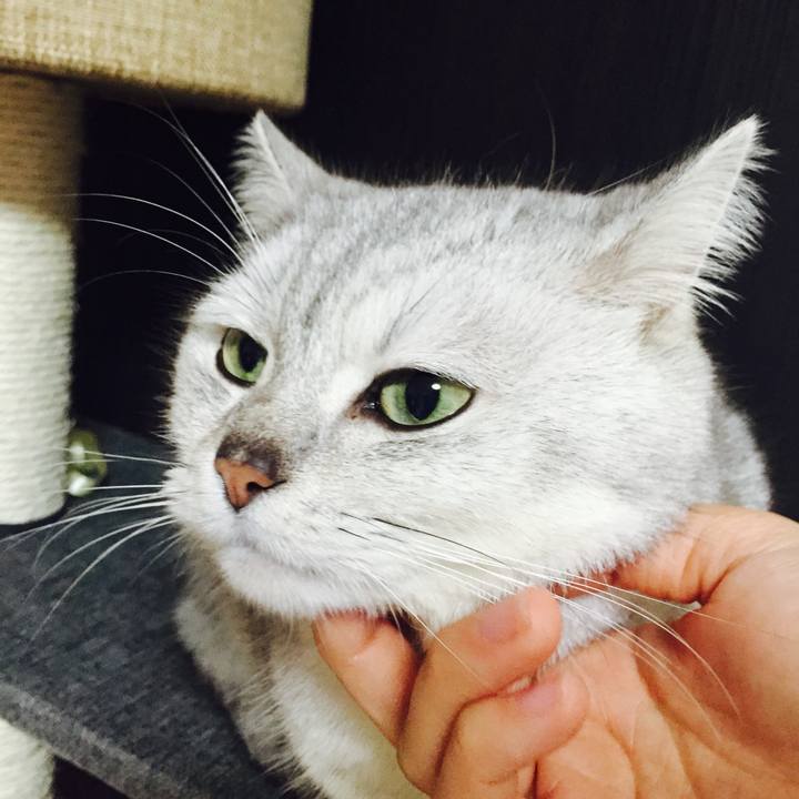 Df8287be 9edf 429a a8f6 04533fbf1fda