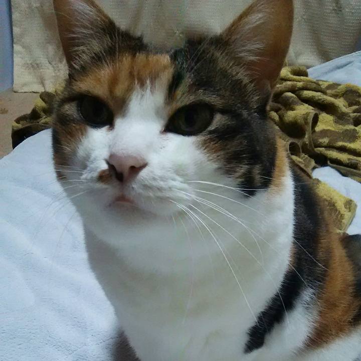 Df830d42 48b0 4c69 85cc c2ae94cbae0a