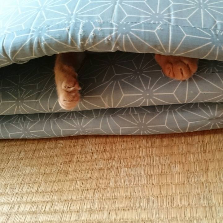 Df84a1cc 41e6 4aa9 991b 0dbf56c62518