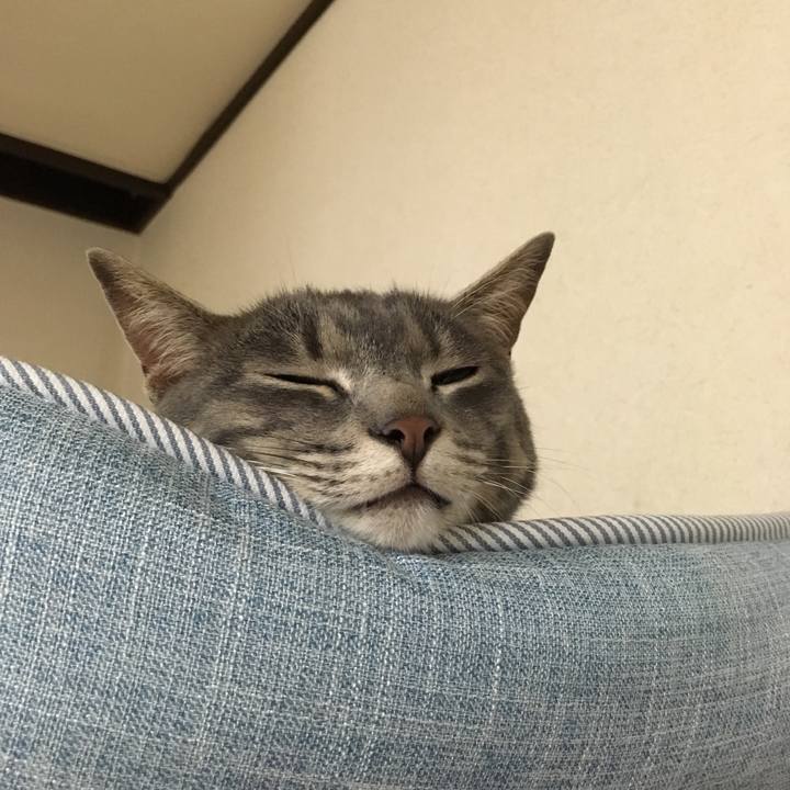 Df84bd09 2df6 43a1 b14a a1e1dfbae973