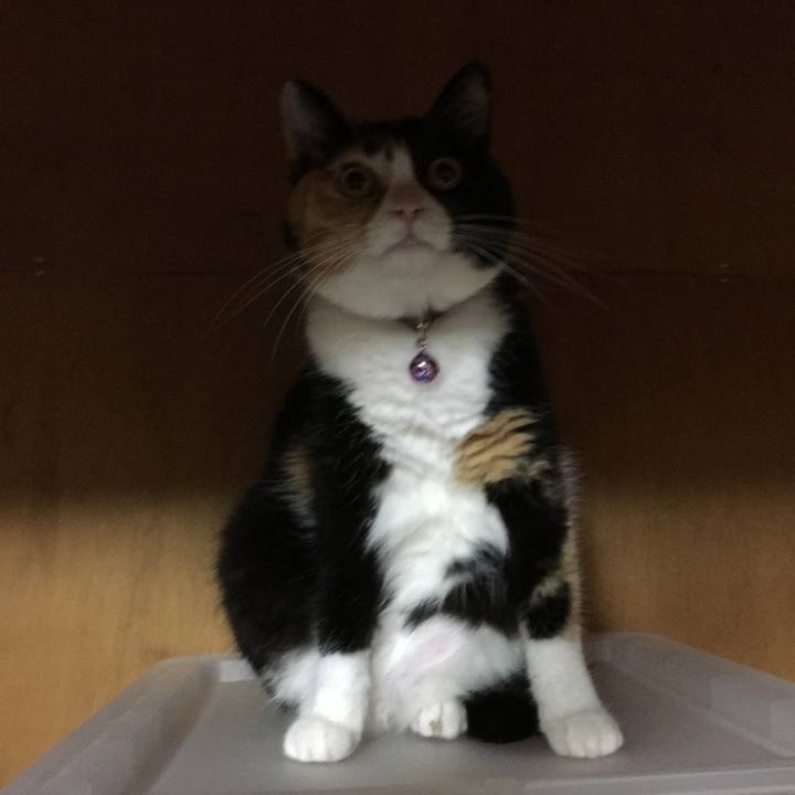 Df859858 e3bb 422e b23c 938098596fff