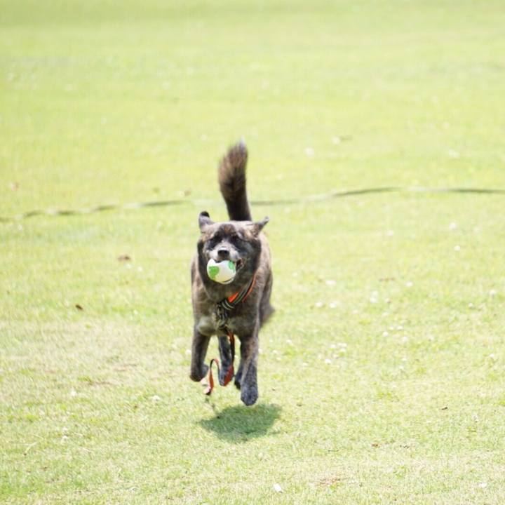 Df861677 7fc5 401a 9c9e 7db2ec225c22