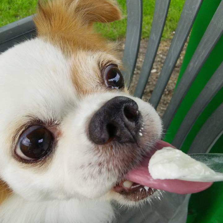 Df8671b2 7c67 4087 838c 61fc95be409a