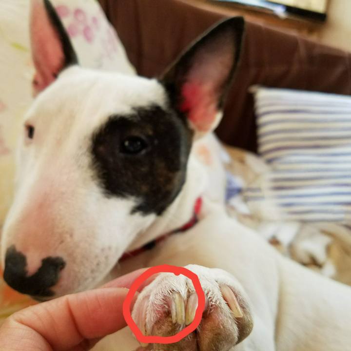 Df87166c bc43 462f 8193 7da6bd959b14