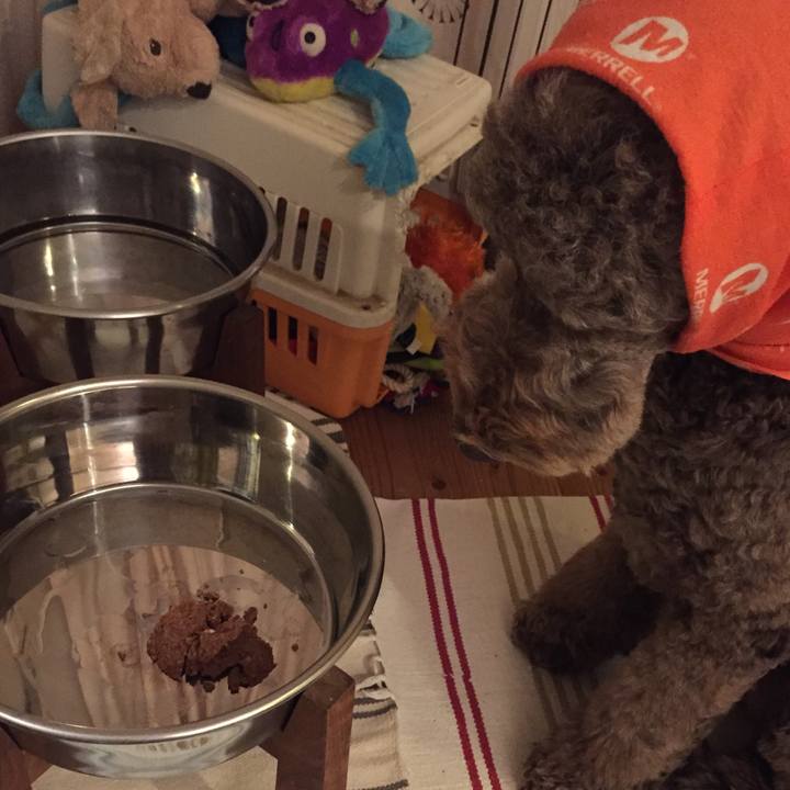 Df87310b 620c 49b8 b255 6ca0e9370b73