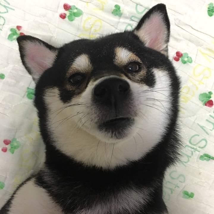 Df874856 a2ba 4bfb 8098 7242ea1b8806