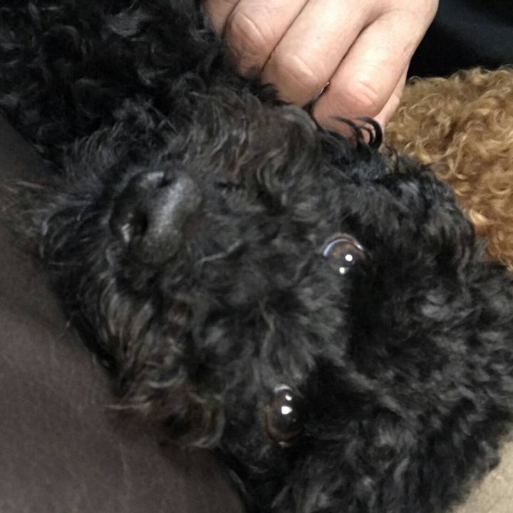 Df877b64 86b9 4943 970a 847ca73076e3