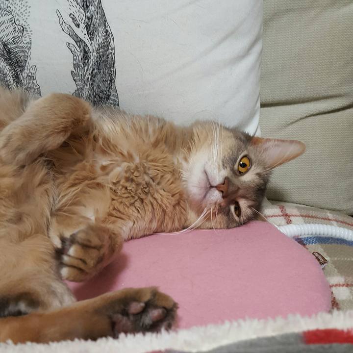 Df881ab5 0dcc 40ee 9f41 f81a21da4cdb