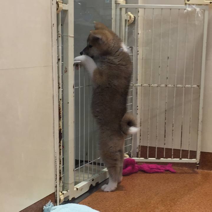 Df882b06 d3e5 40e5 b9b2 03f04cd59ef7