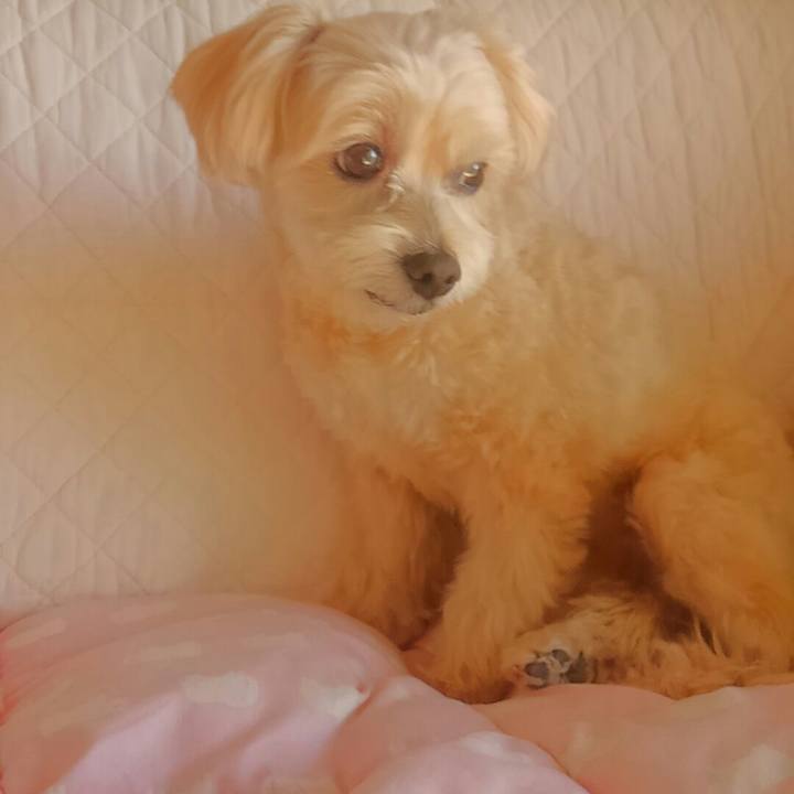 Df885363 2a45 4c89 a3dc 3a834ba1a1eb