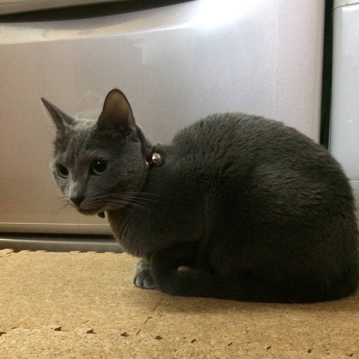 Df8919d5 a5c0 4364 8c5f e4b512767cca