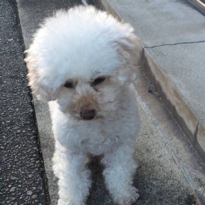 Df89759c dbde 47d0 9441 84ec5ddf1e29