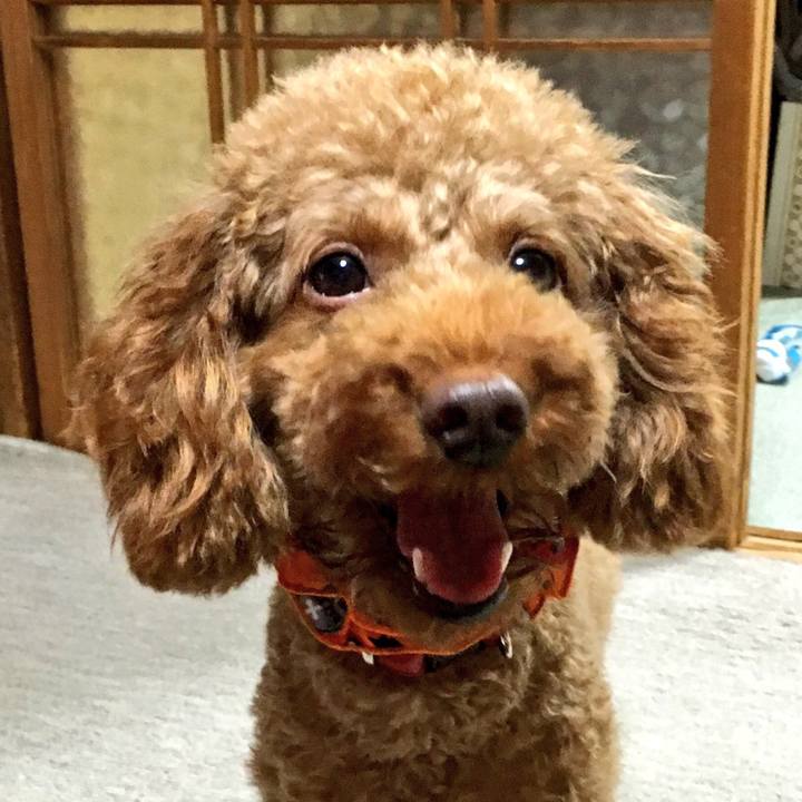 Df8a02b5 59fc 4a08 8270 482b094c3c99