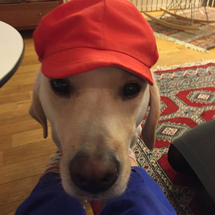 Df8ac2b8 acb1 493d be3d 114422dc913e