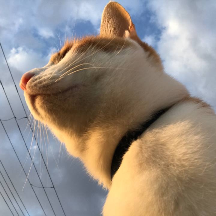 Df8b6372 9fce 491b b60d 4c362d0dcfa5