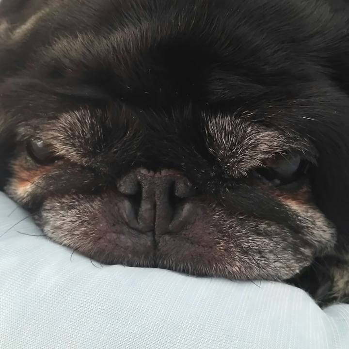 Df8c2b95 b513 42a8 900d 15d101c095c9