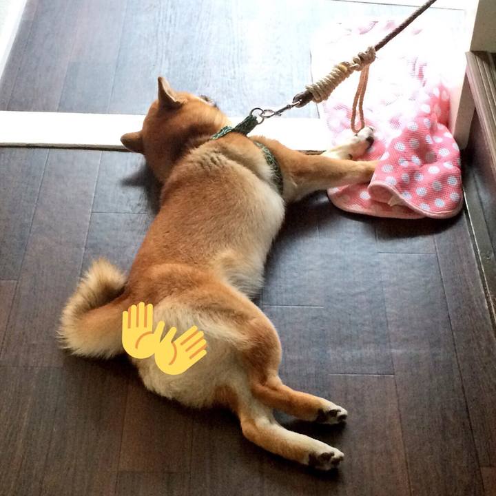 Df8d7c8b 035d 44a2 a7e9 1933ea1d9d2d