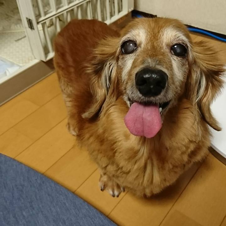 Df8e7382 fafa 40d5 9ab8 45a24695efe8