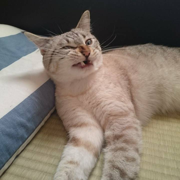 Df8eda5c 9d4c 4f7f b0e2 0d7adce45255