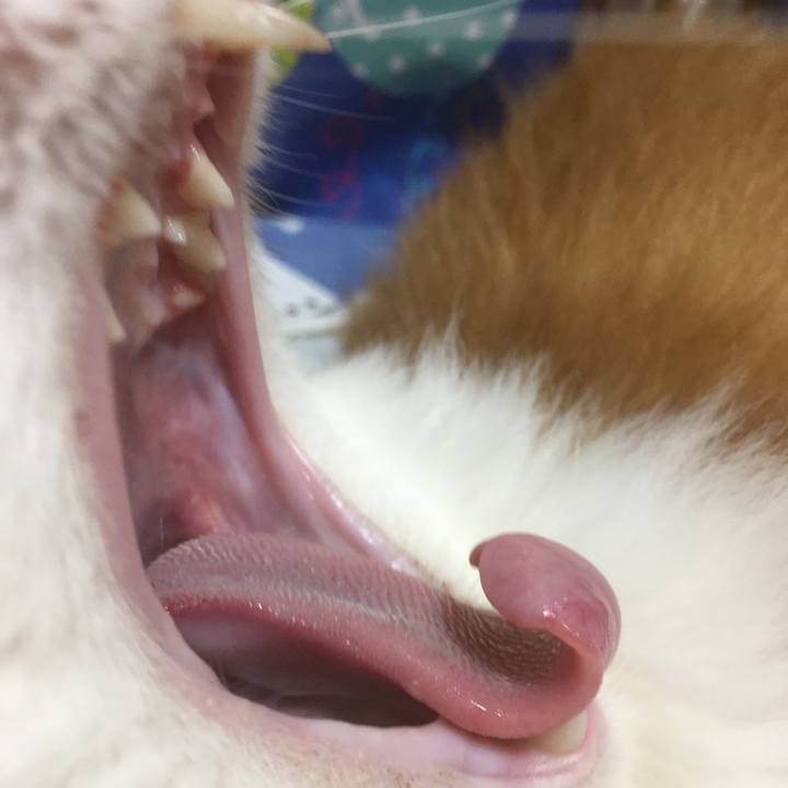 Df8efe40 0302 4f3f a1e8 c58d05920099