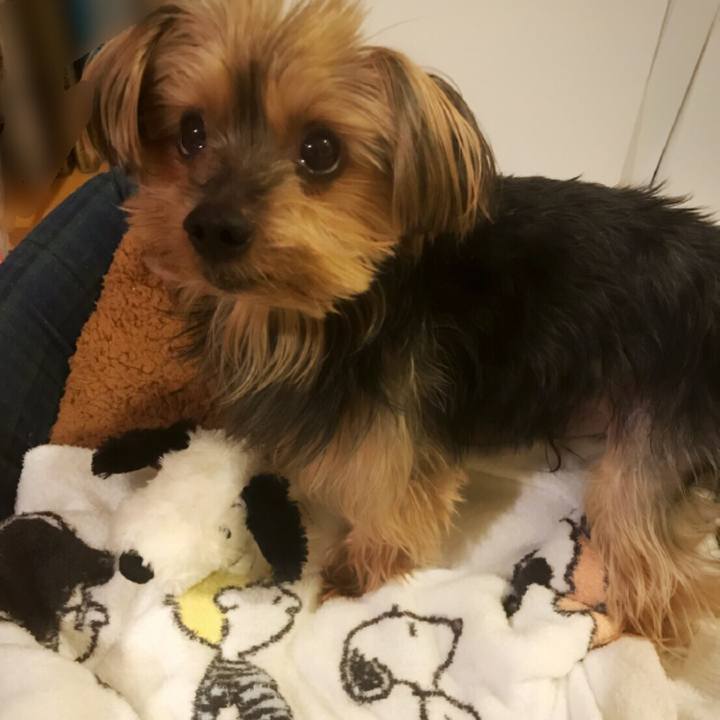 Df8f19e1 834f 4987 9184 97004e5fdb8a