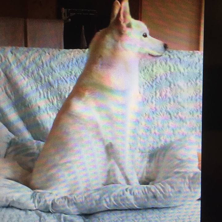 Df8f7dcc e91f 4466 951c 2560890a4328