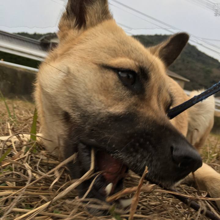 Df8fdacb 2bac 439f bf10 40182975e4a4