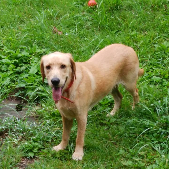 Df9010a7 fd66 4839 8df8 2ff69fb90e0c