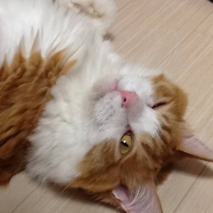 Df9034ee 9e56 4380 8051 cb5edcf00d5f