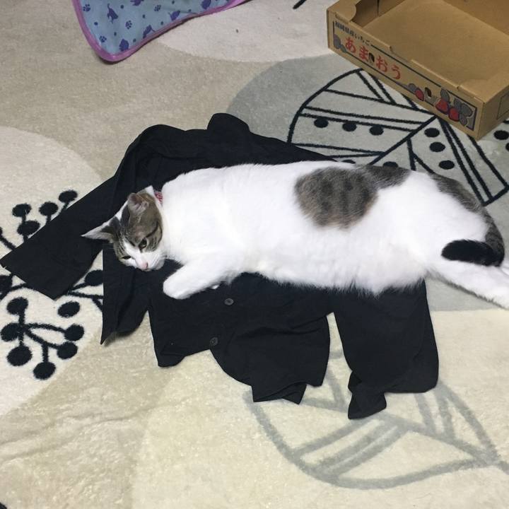 Df90760b 6233 4136 8d5f ca552d1f57d0