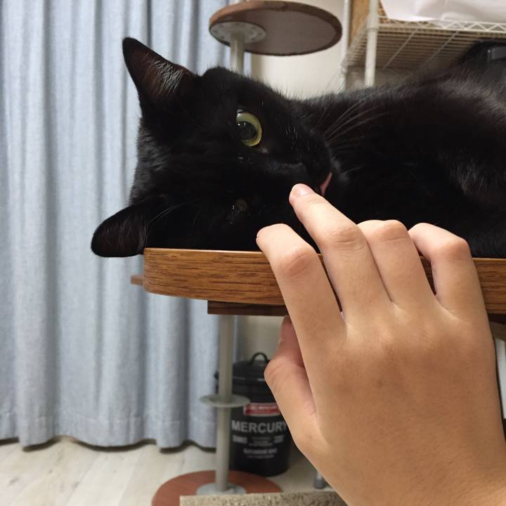 Df9087d6 182a 4f06 b161 a7effd04ef88