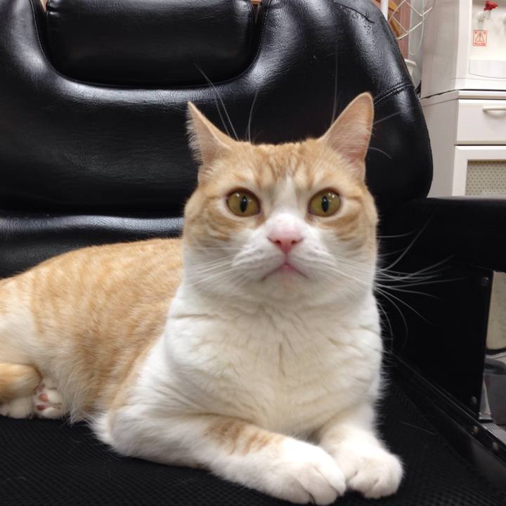 Df909aa9 3a95 407d 9b23 12b0e3e5b9d3