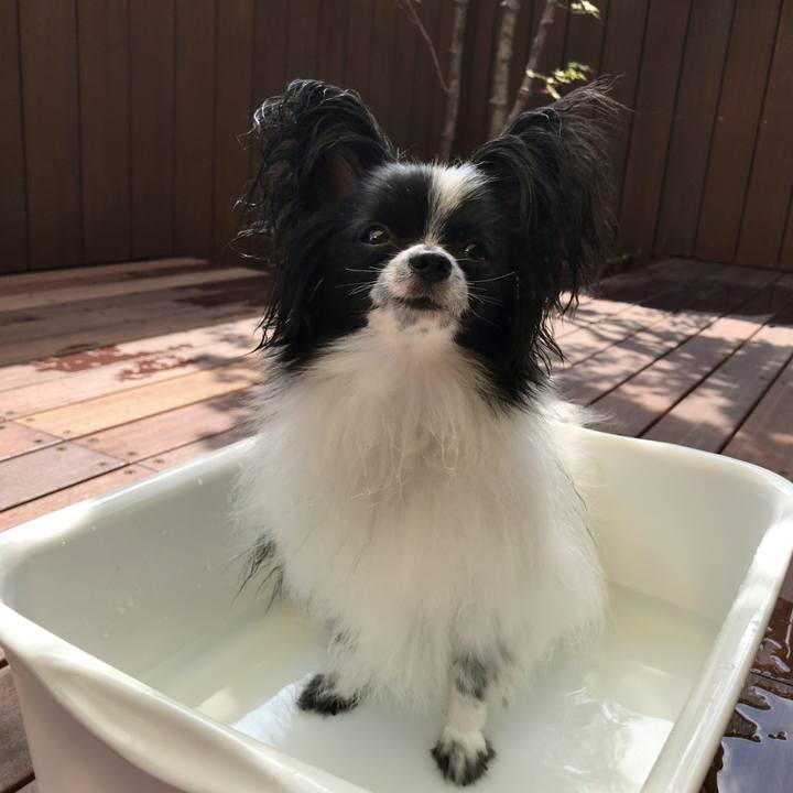 Df913207 0023 42c4 aad2 0cd89d52792f