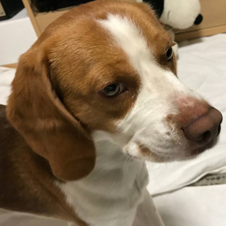 Df9220bd b3b7 49f3 8a03 2a9206844369